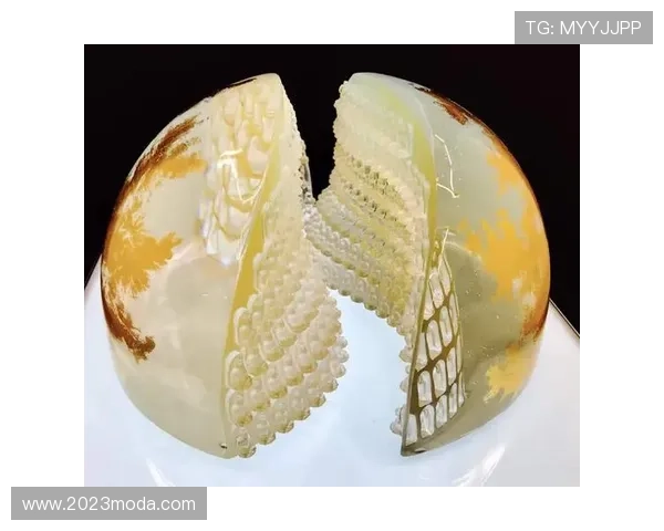 尊龙凯时账号登录中心：新用户注册与登录流程详解