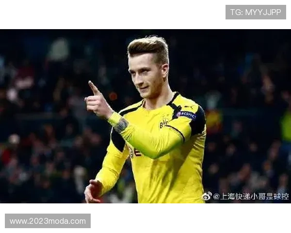 z6尊龙官方用户评价汇总，真实玩家体验分享