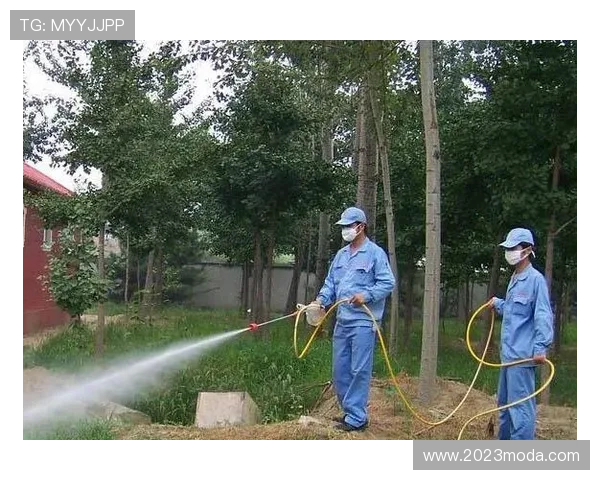 探秘尊龙凯时中国官网首页的功能与服务亮点