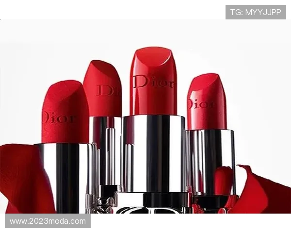 尊龙d88app安全保障措施，保障用户资金与信息安全