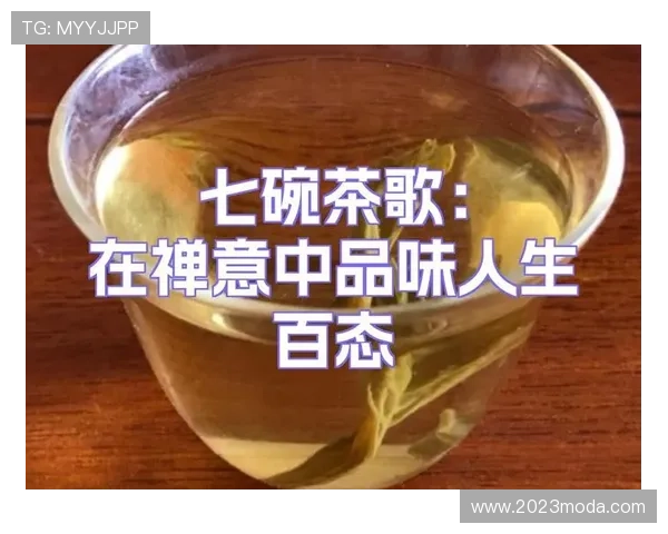 尊龙人生就是博雅：从文化修养到人生品味的全面提升之路