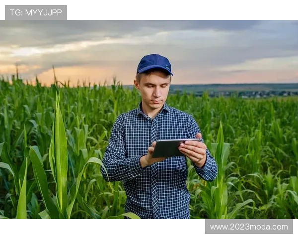 尊龙d88手机版ap多平台兼容，支持手机、平板和电脑多设备无缝切换体验