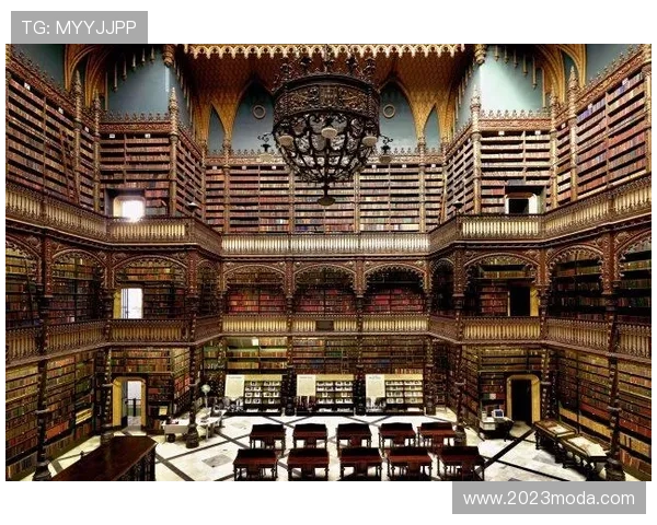 尊龙d88手机版ap全面介绍，游戏玩法攻略与最新优惠活动推荐